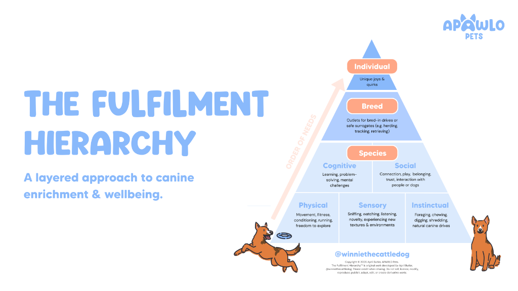the fulfilment hierarchy for dog enrichment