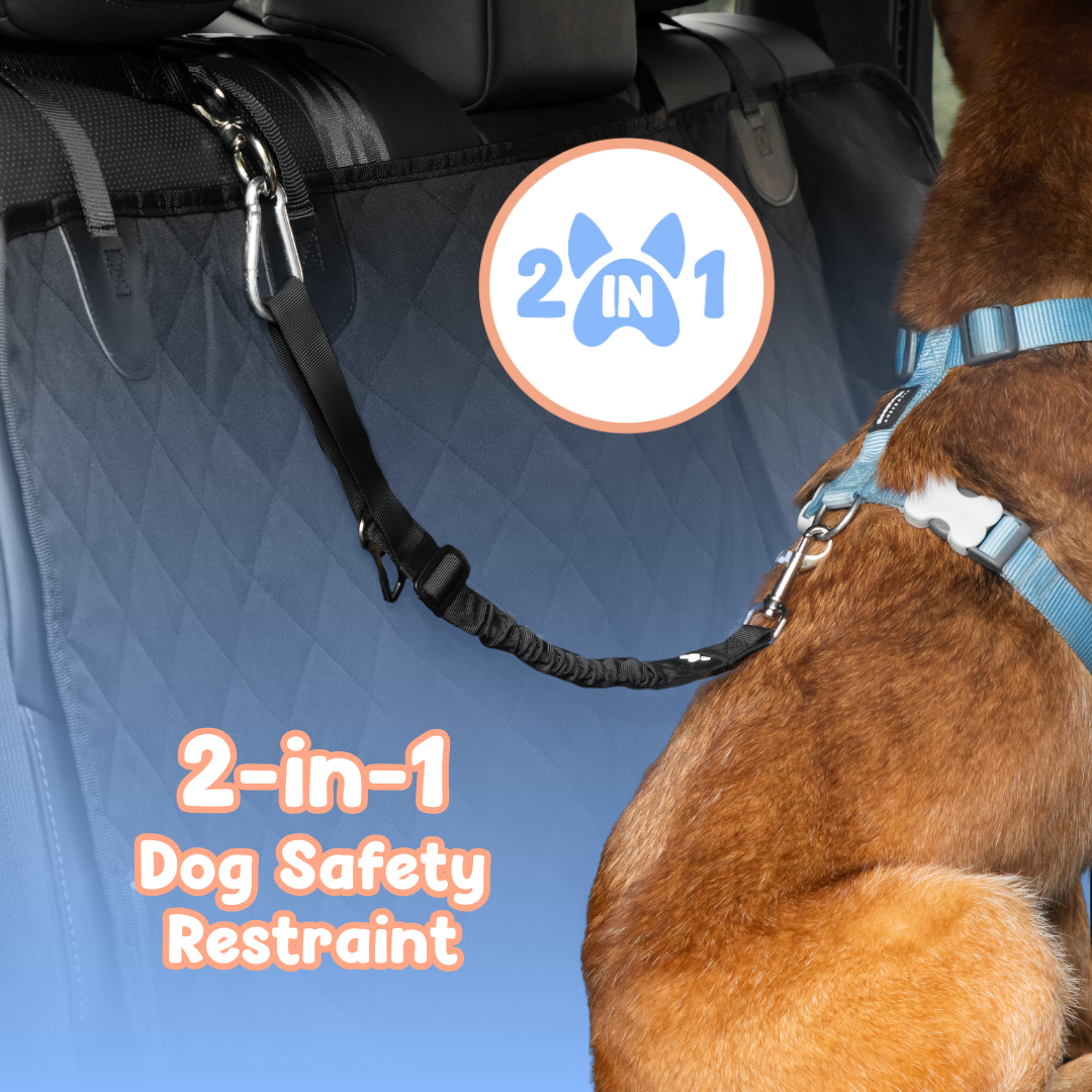 2-in-1 Dog Car Safety Restraint