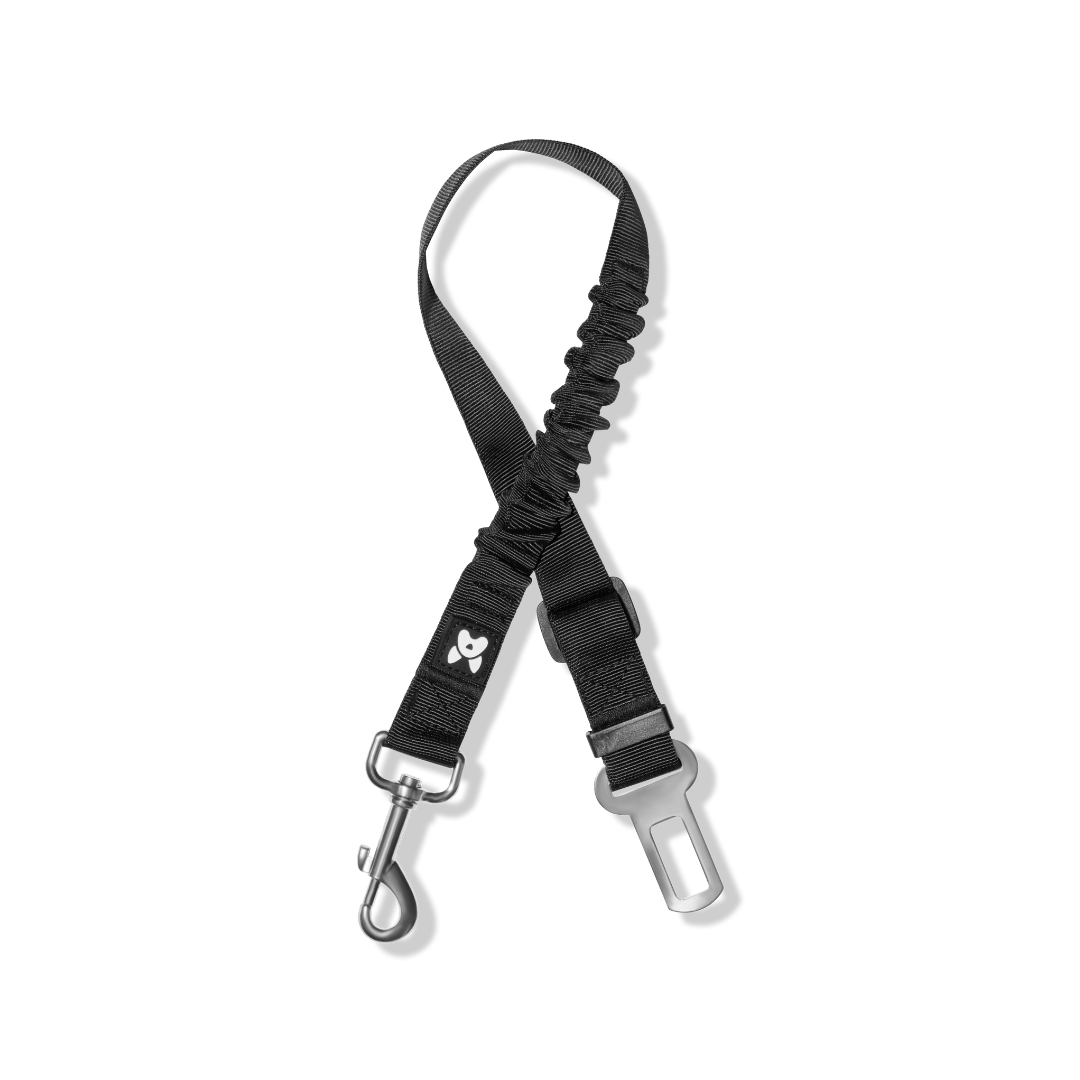 2-in-1 Dog Car Safety Restraint