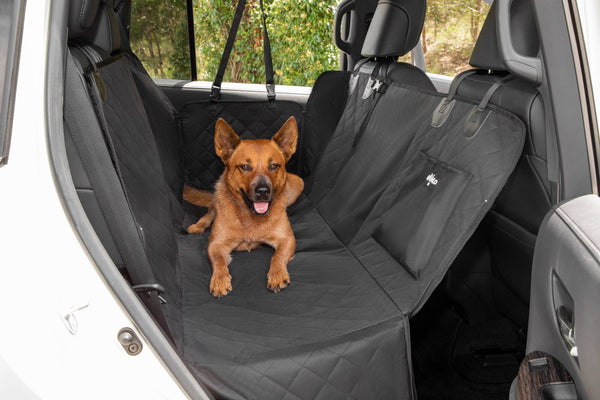 Why Every Dog Owner Needs a Dog Car Seat Cover