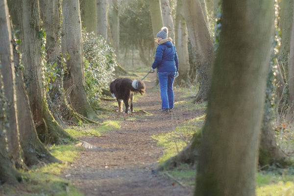 How to Make Your Walks More Enriching (Without Adding a Single Extra Minute)