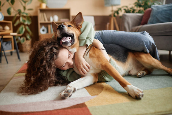 100 Ways To Help Rescues (outside of fostering and adopting)
