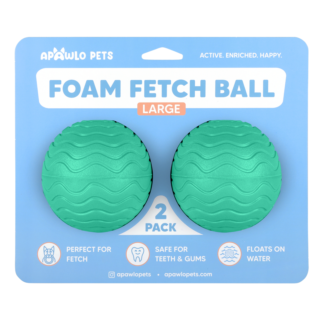 Foam Fetch Ball (2 Pack)