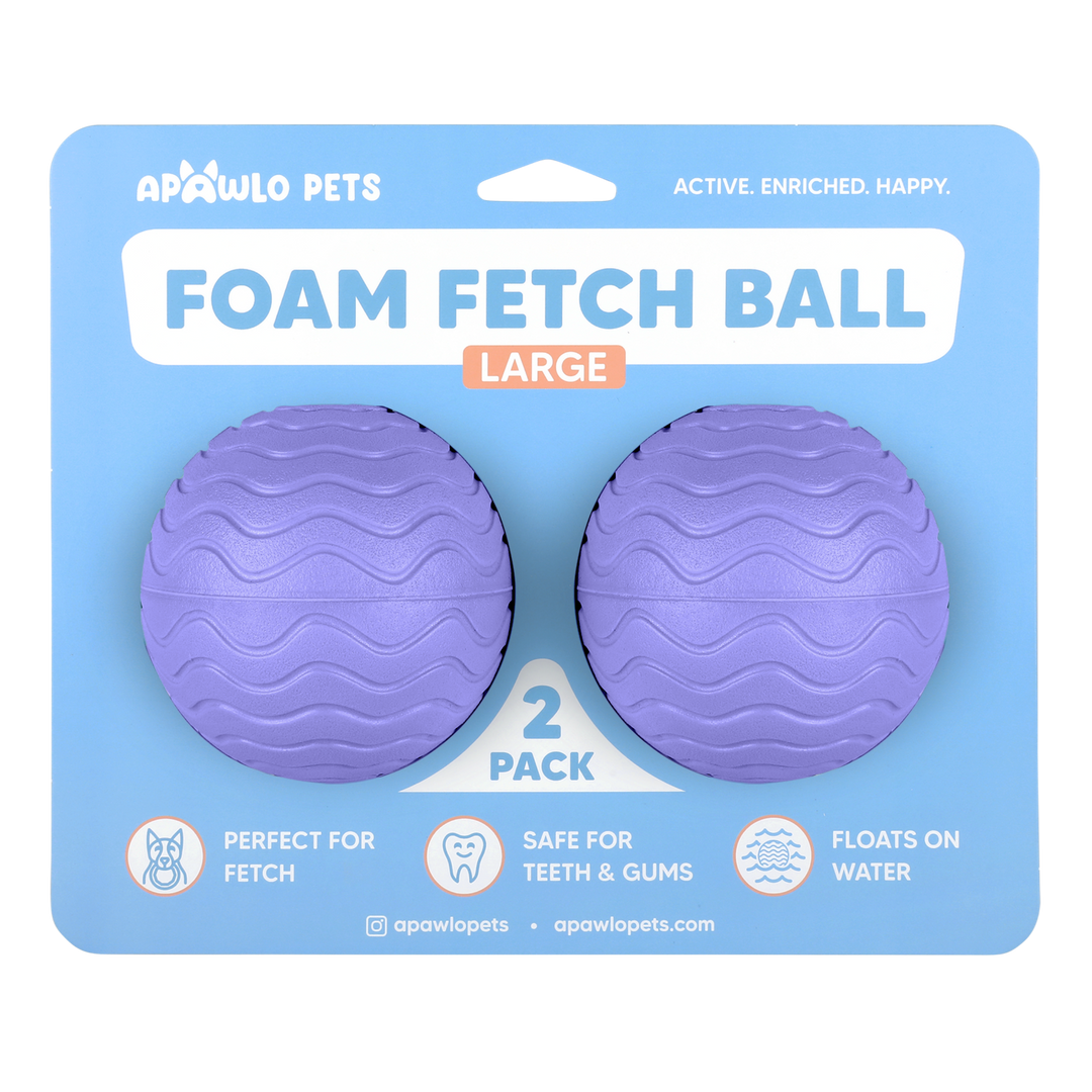 Foam Fetch Ball (2 Pack)