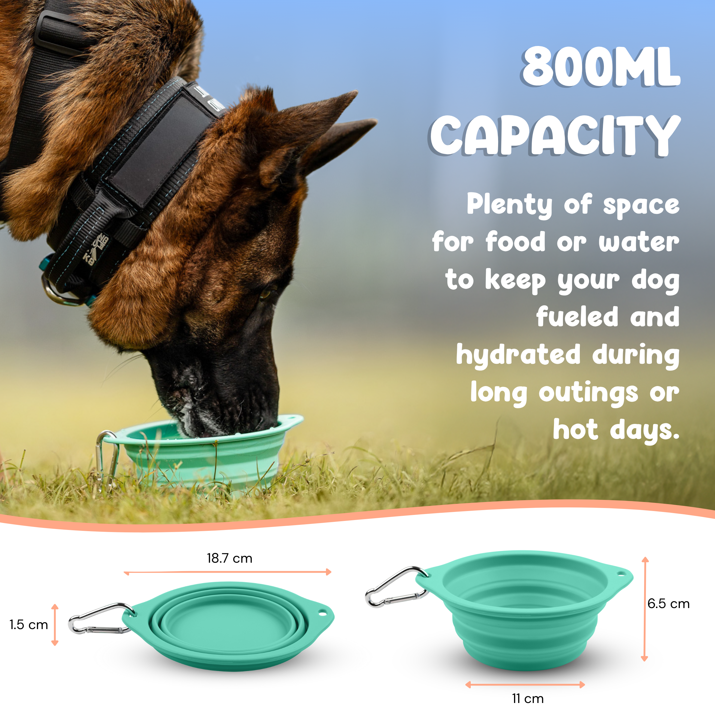Pop-Up Bowl (800ml)