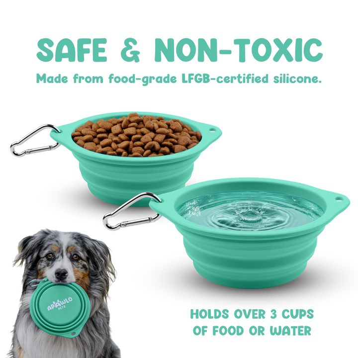 Pop-Up Bowl (800ml)