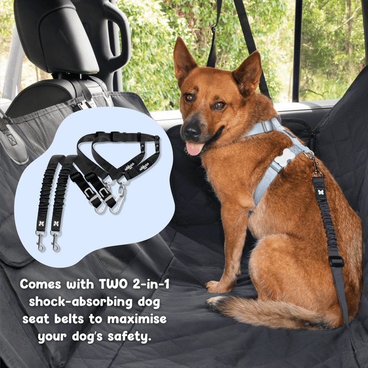 4-in-1 Dog Car Seat Cover