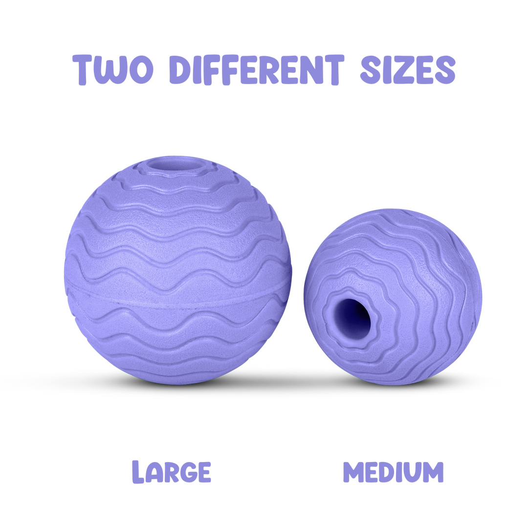 Foam Fetch Ball (2 Pack)