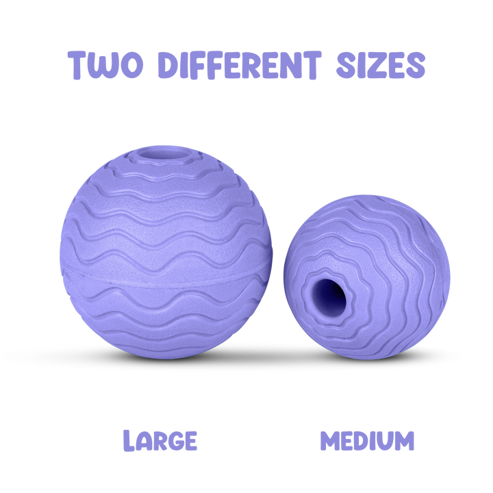 Foam Fetch Ball (2 Pack)