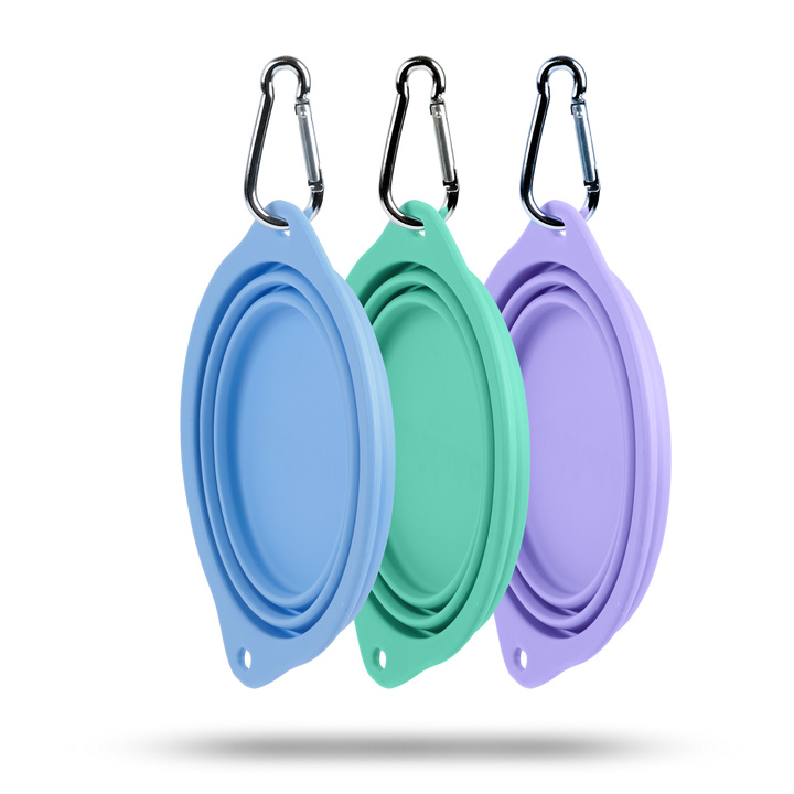 Three silicone dog bowls with carabiners in blue, green, and purple on a white background.