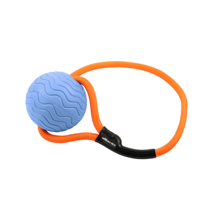 Toss n’ Train Tug Ball