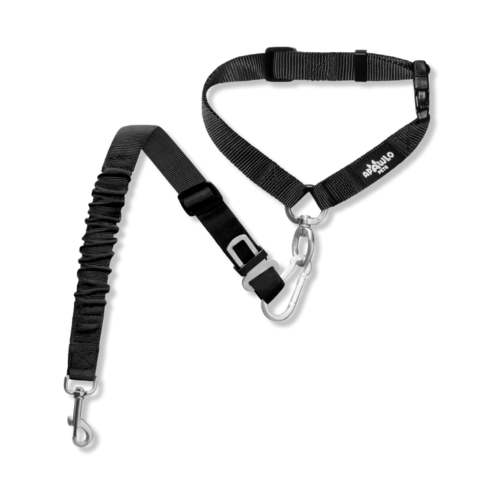 2-in-1 Dog Car Safety Restraint