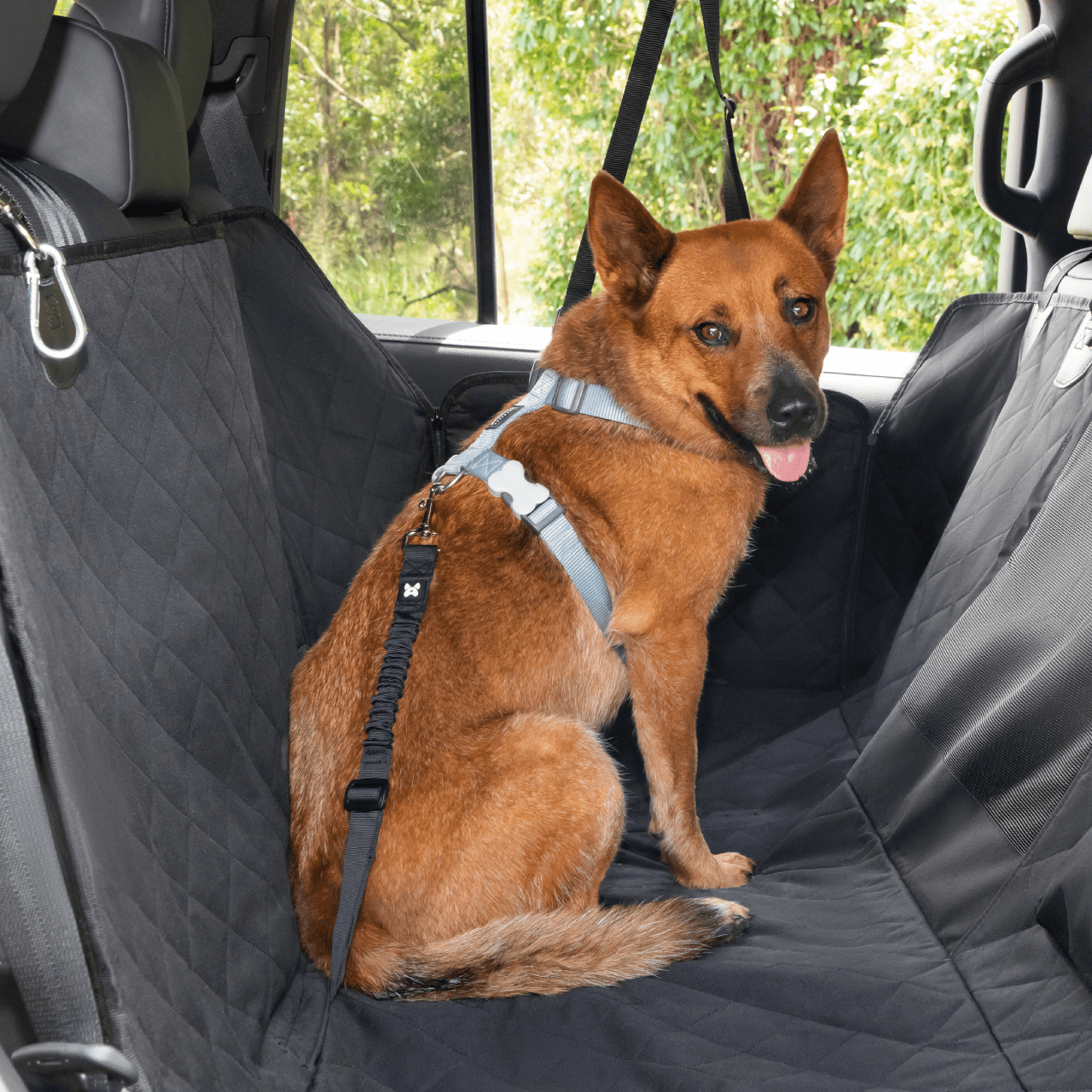  Dog Car Safety Restraint