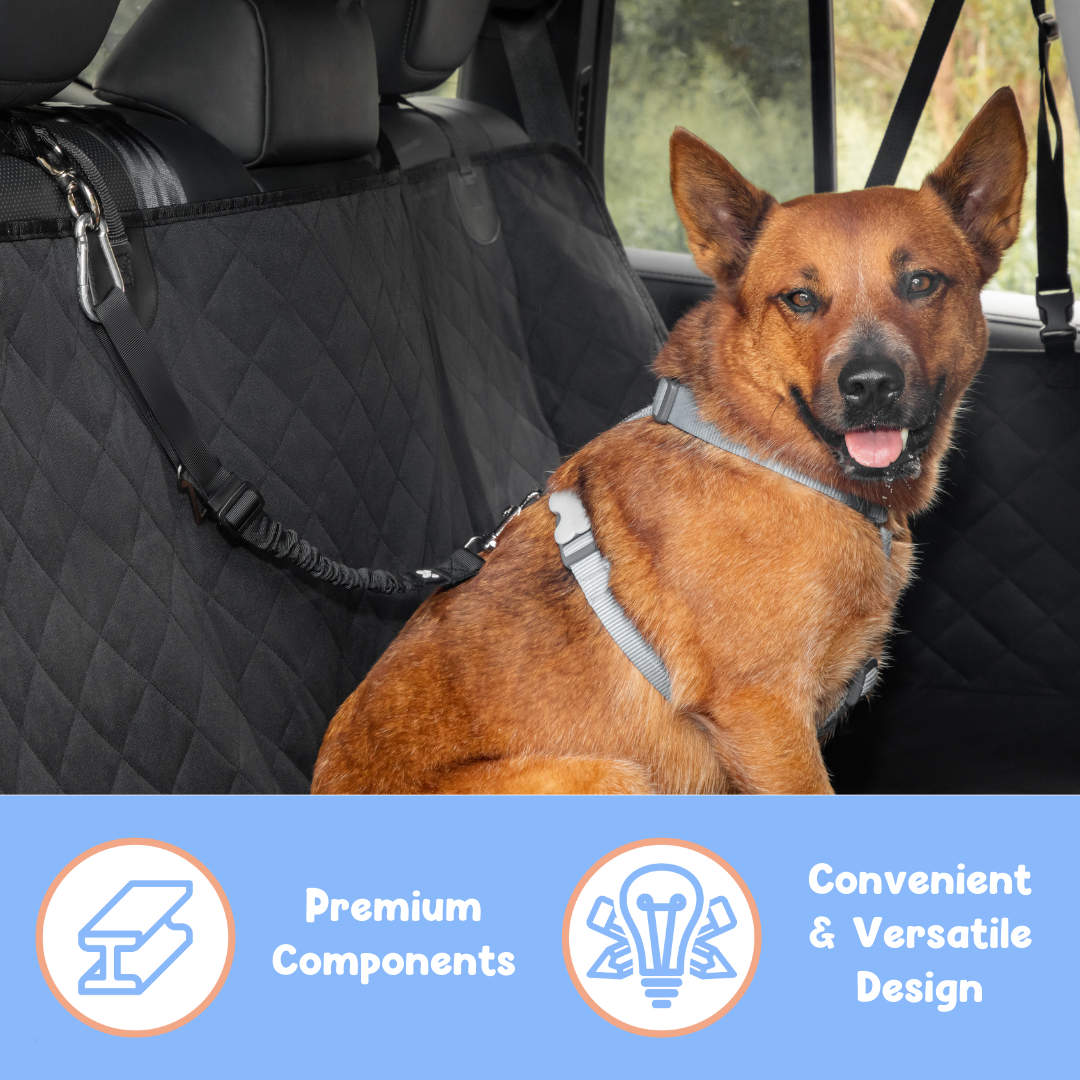 2-in-1 Dog Car Safety Restraint