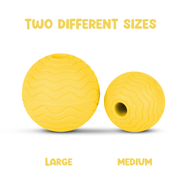 Foam Fetch Ball (2 Pack)
