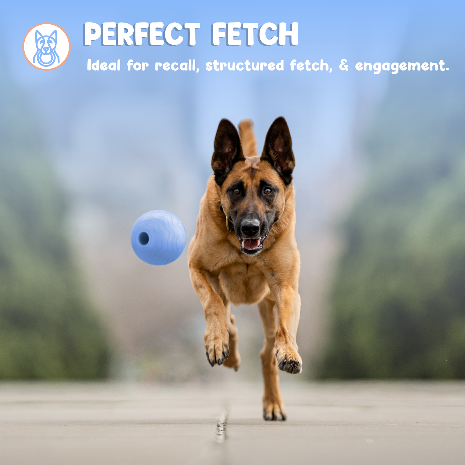 Foam Fetch Ball (2 Pack)