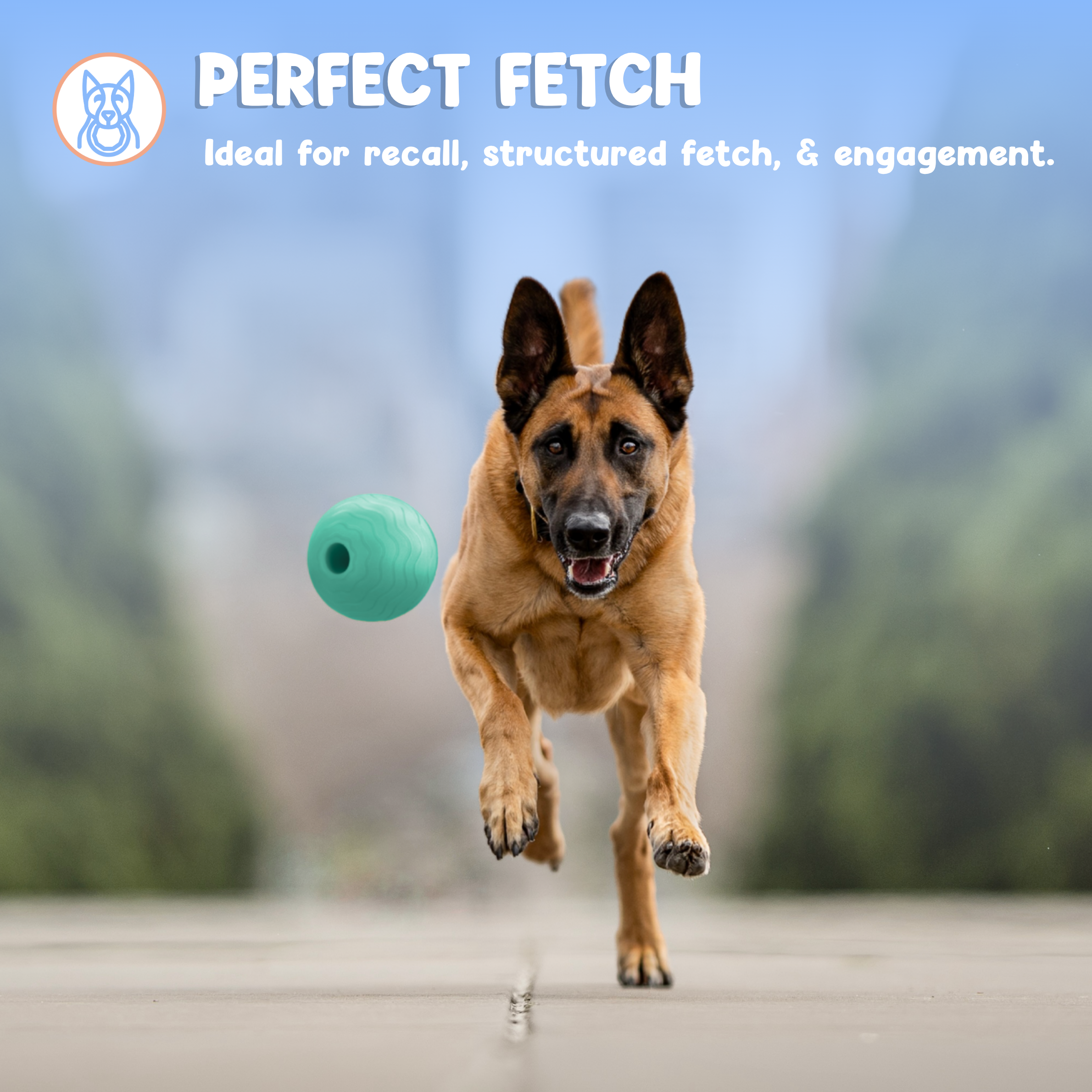 Foam Fetch Ball (2 Pack)