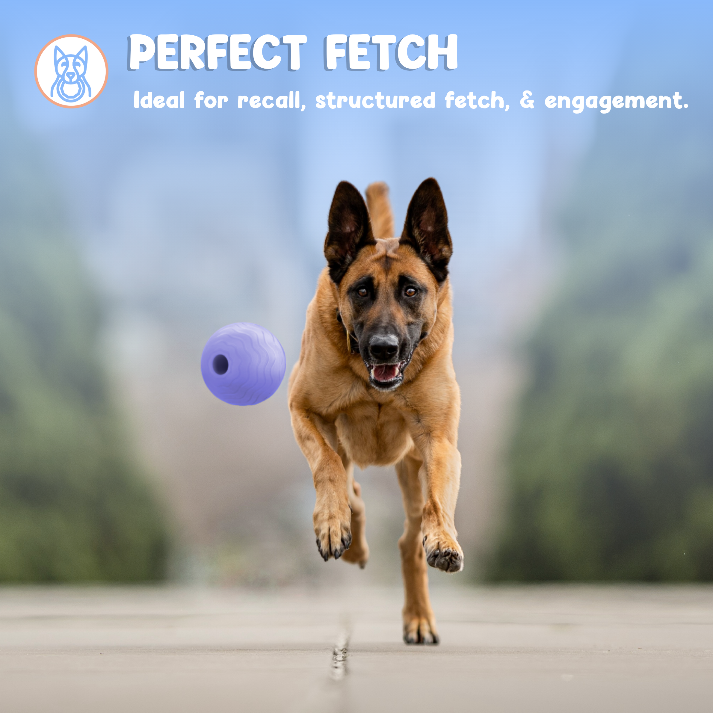 Foam Fetch Ball (2 Pack)