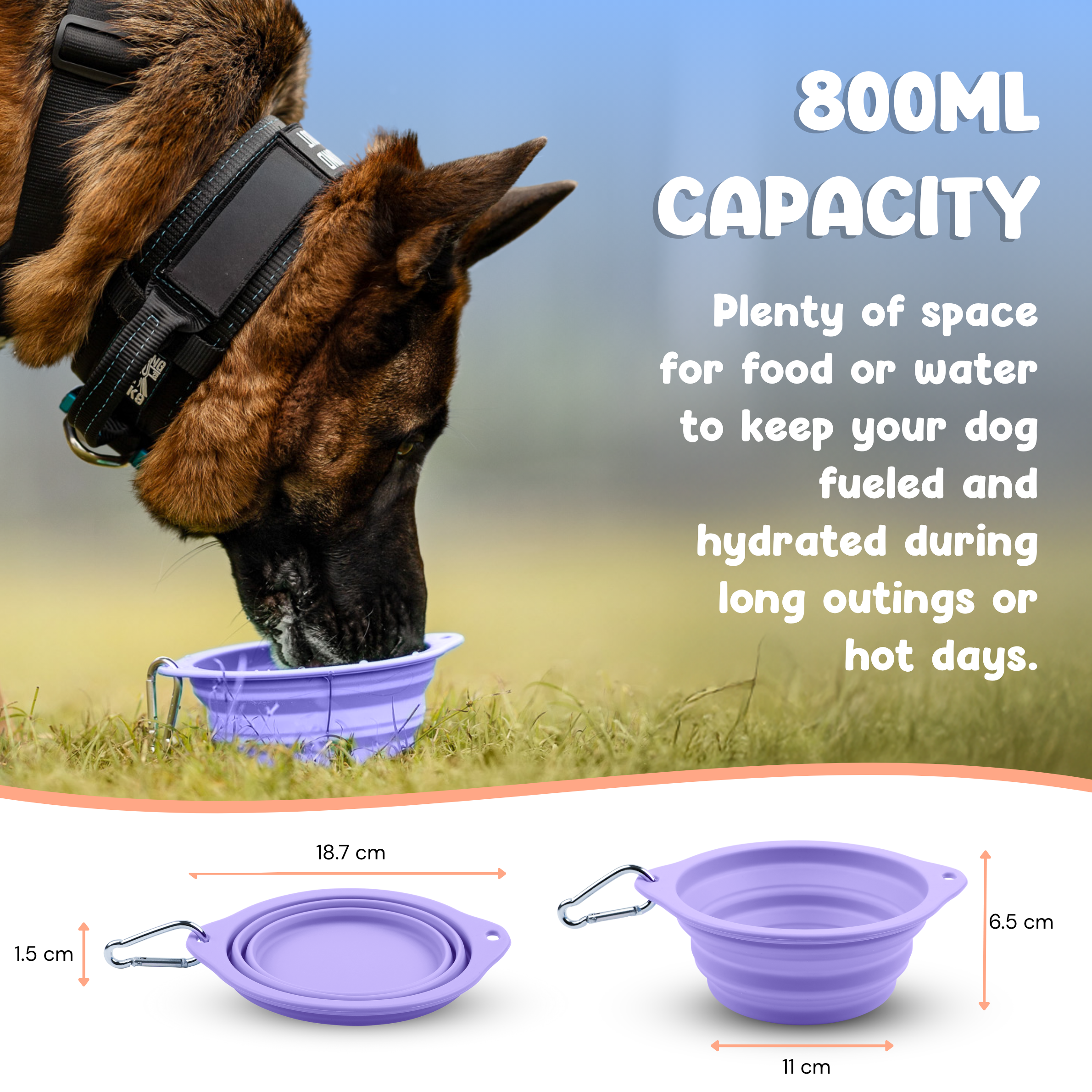 Pop-Up Bowl (800ml)