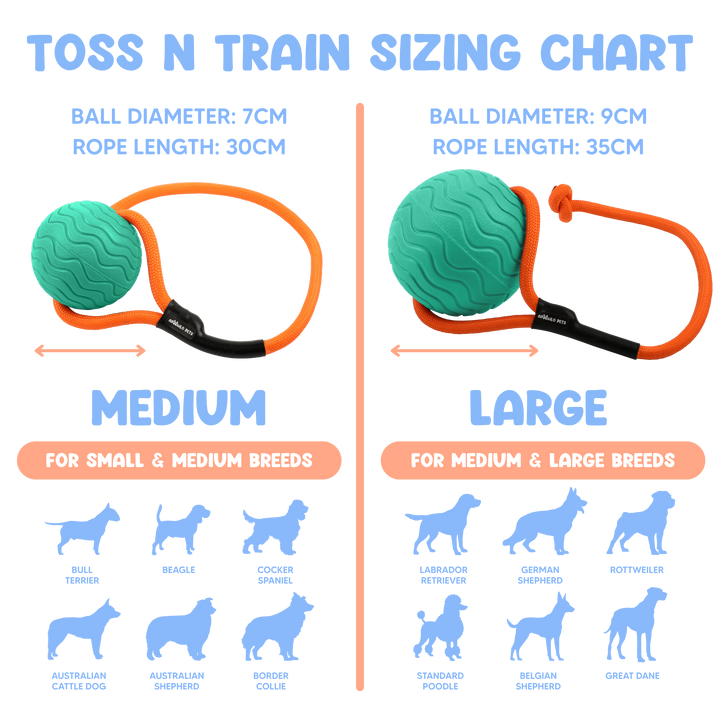 Toss n’ Train Tug Ball