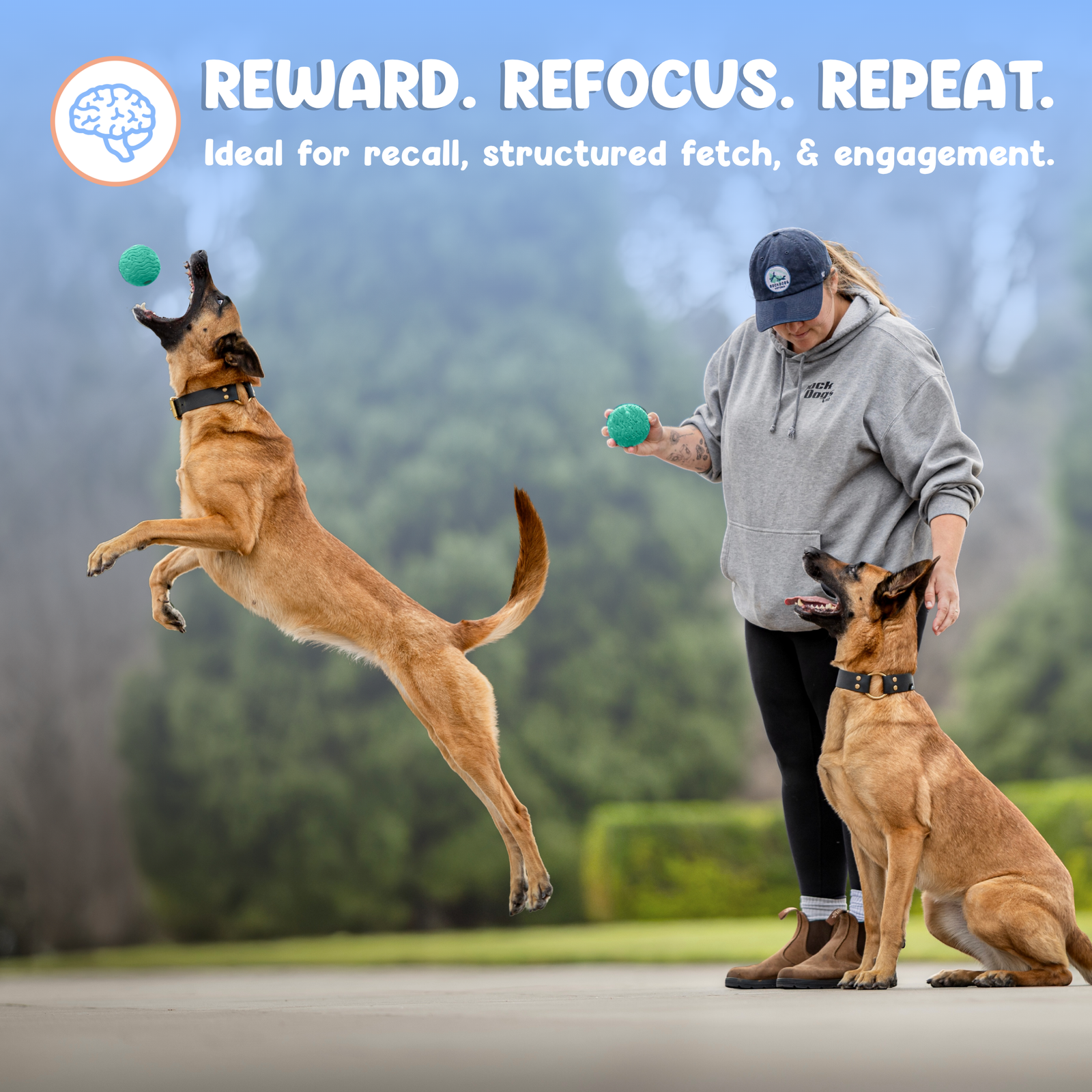 Foam Fetch Ball (2 Pack)