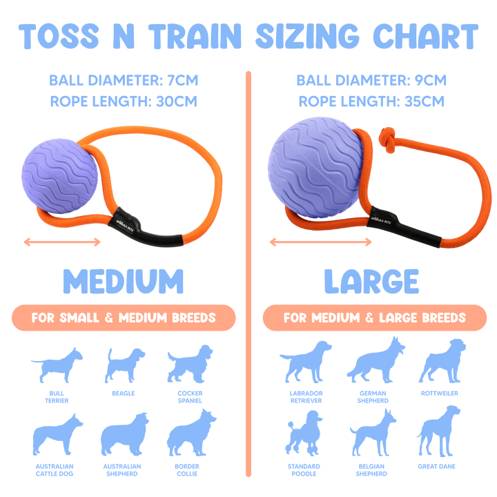 Toss n’ Train Tug Ball