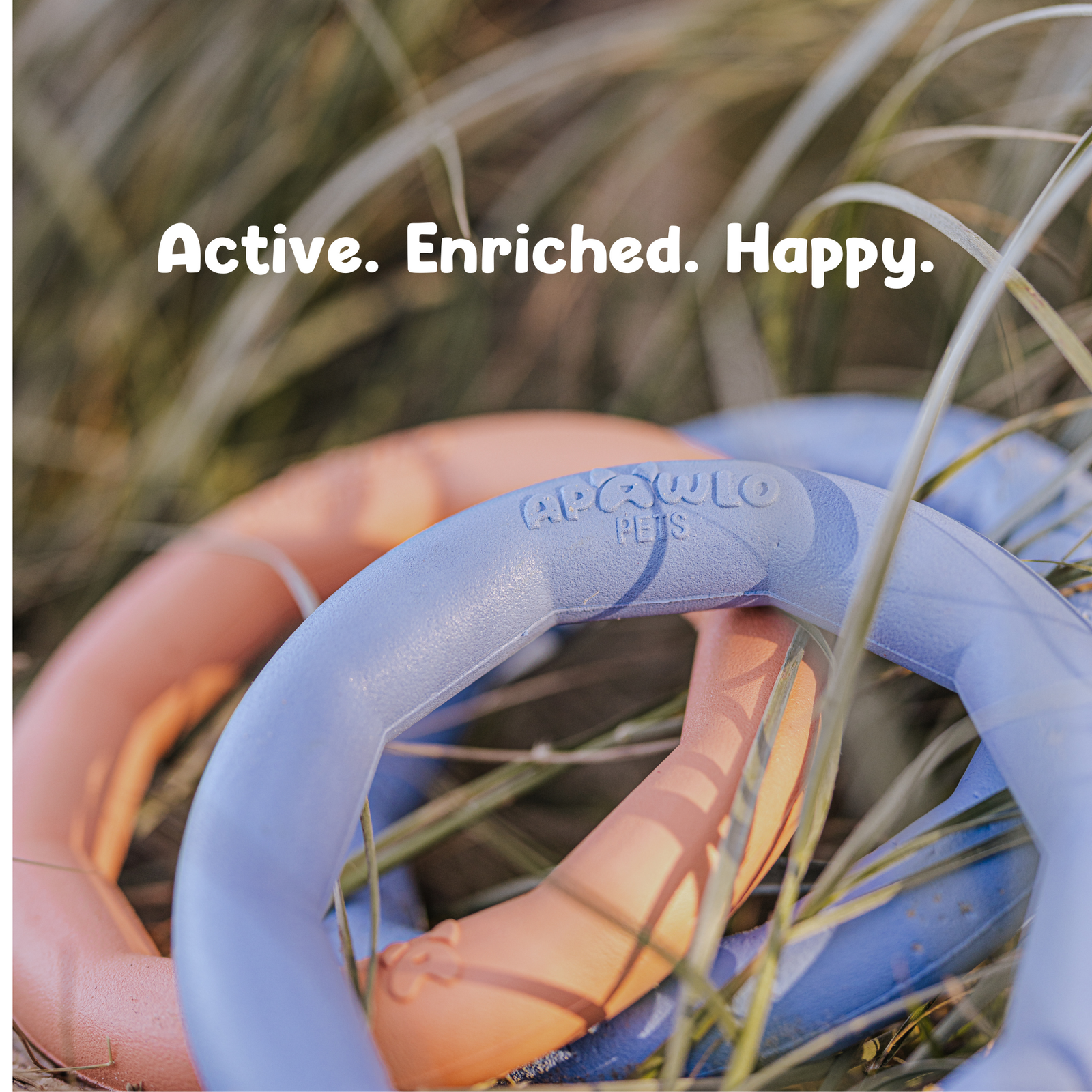 Active Ring (2 Pack) Dog Fitness Toy