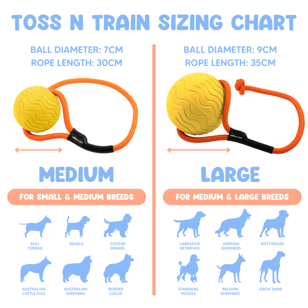 Toss n’ Train Tug Ball