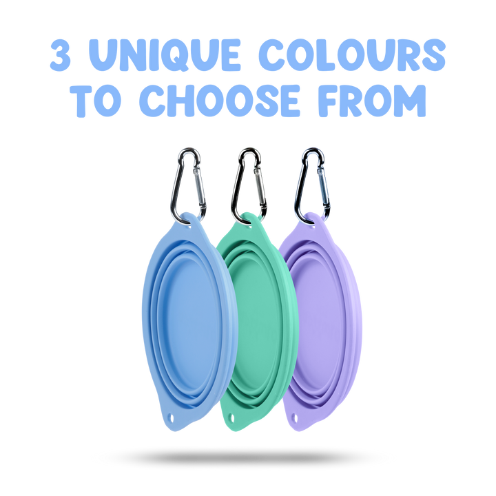 Pop-Up Bowl (800ml)