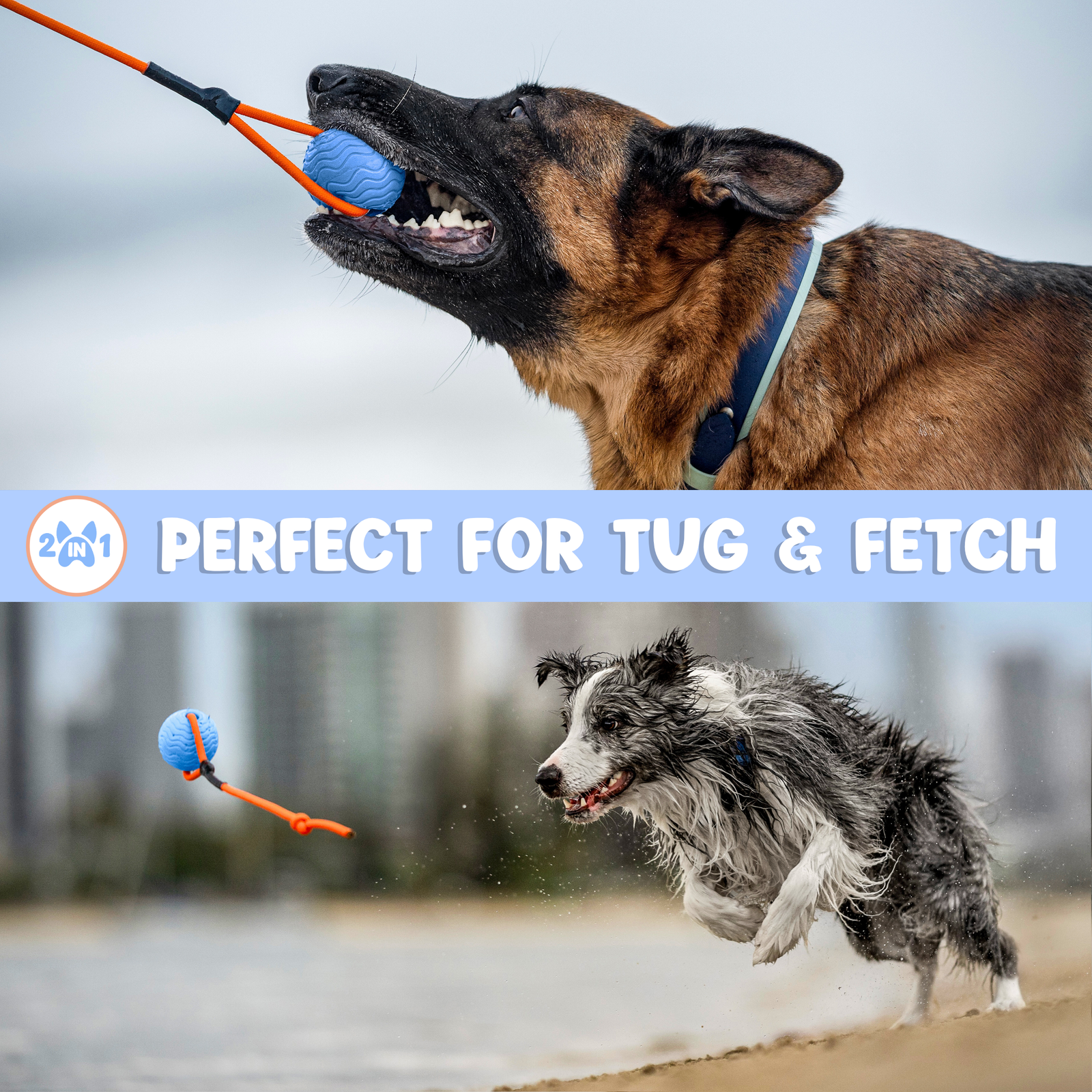 Toss n’ Train Tug Ball