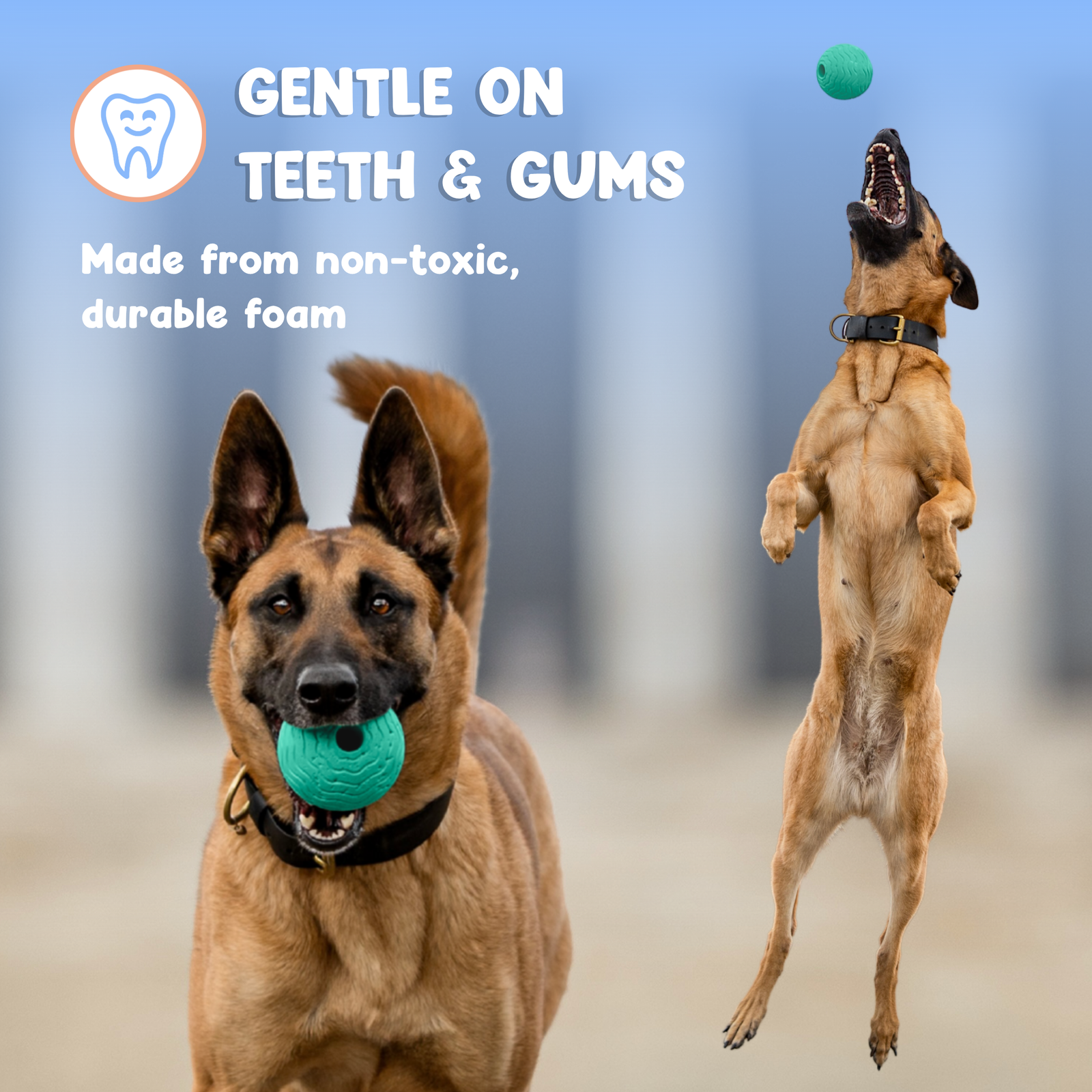 Foam Fetch Ball (2 Pack)