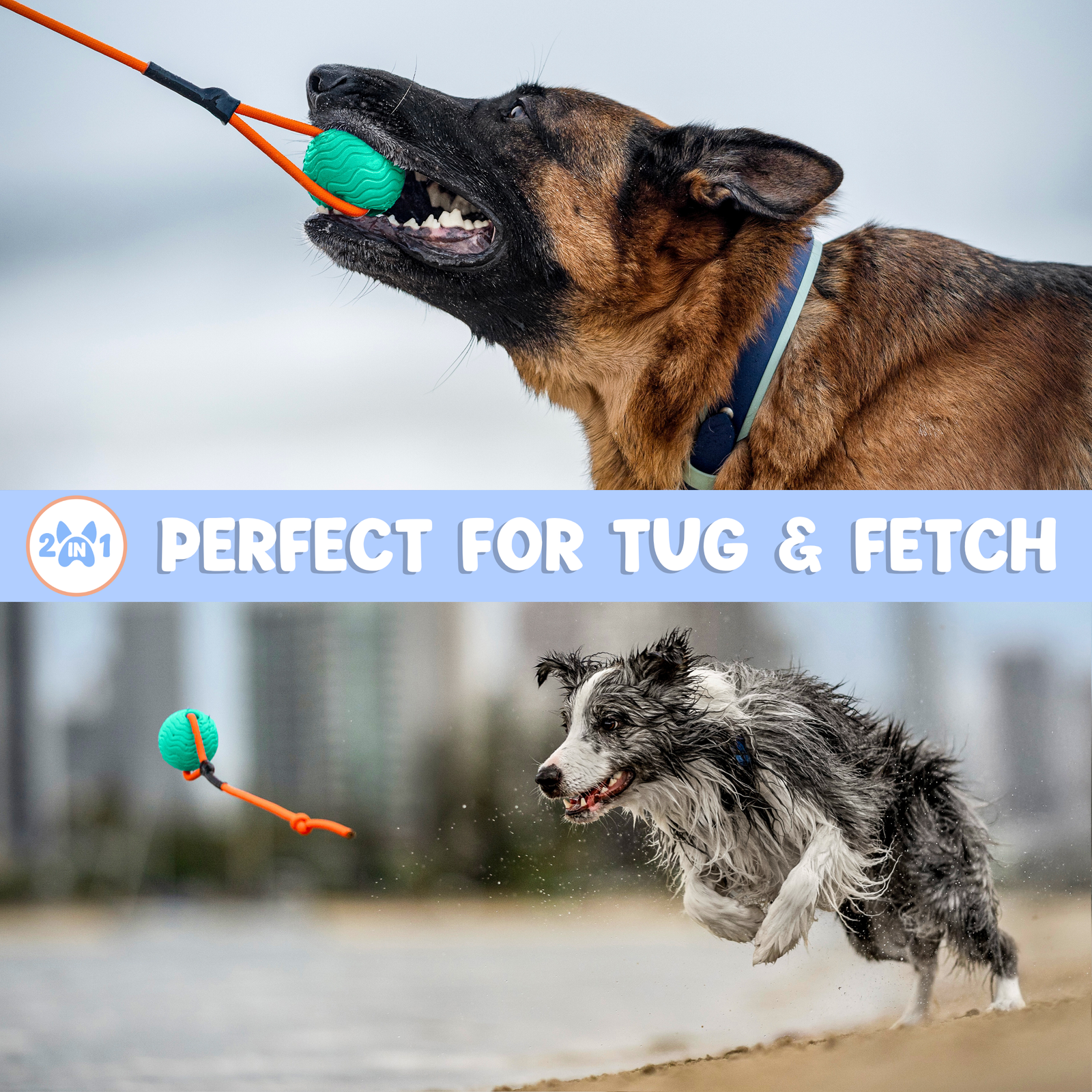 Toss n’ Train Tug Ball