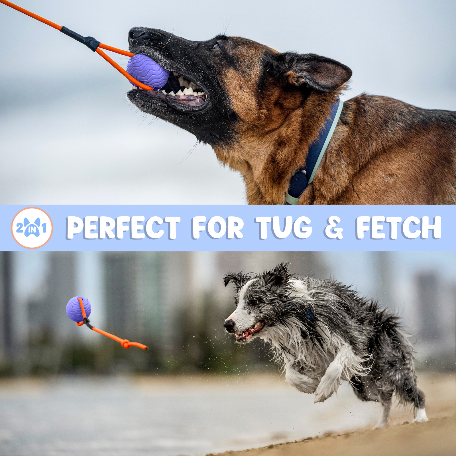 Toss n’ Train Tug Ball