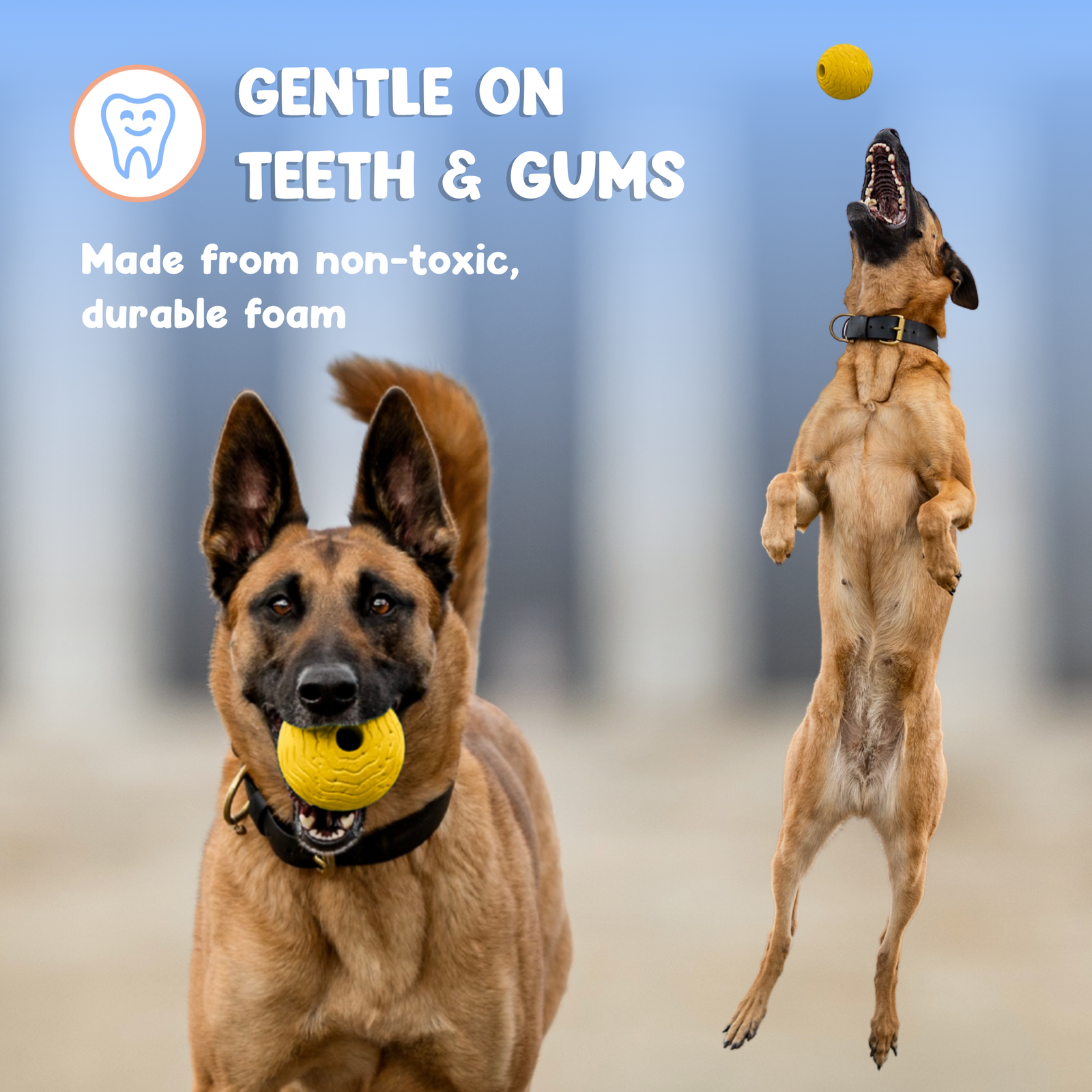 Foam Fetch Ball (2 Pack)