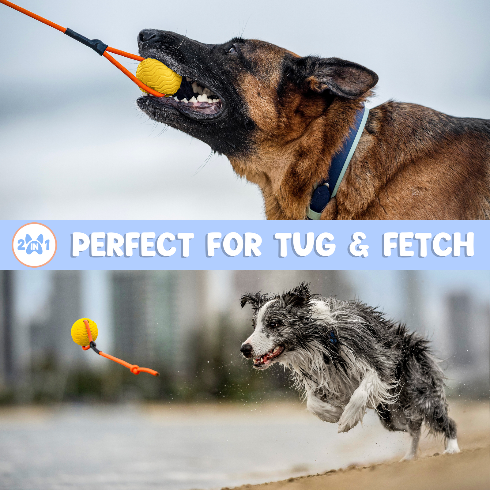 Toss n’ Train Tug Ball