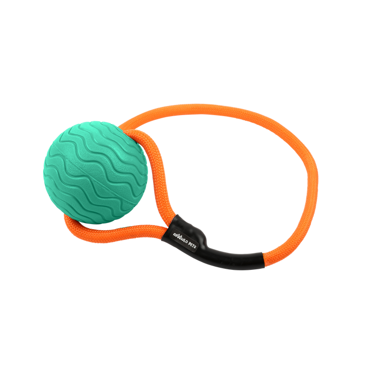 Toss n’ Train Tug Ball