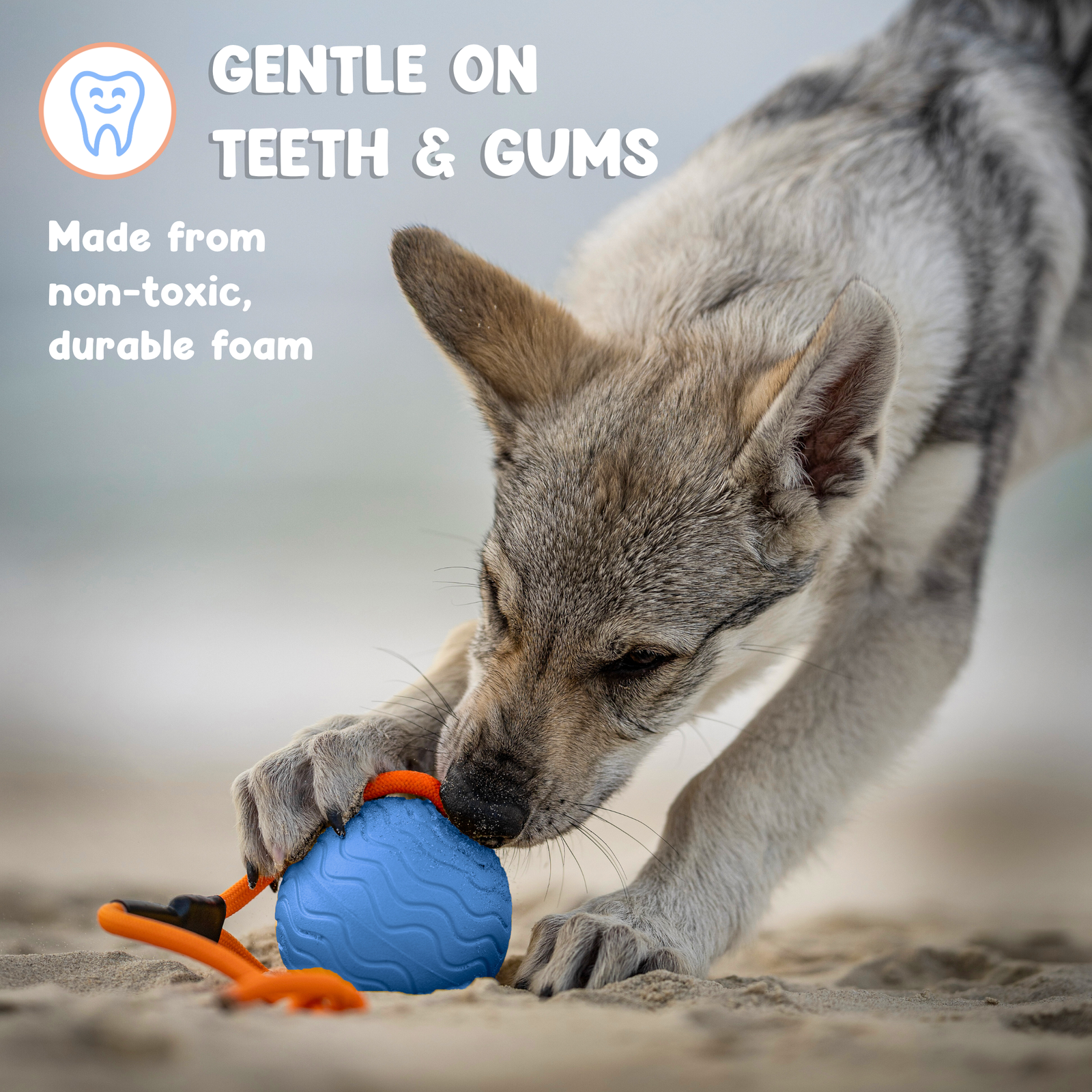 Toss n’ Train Tug Ball