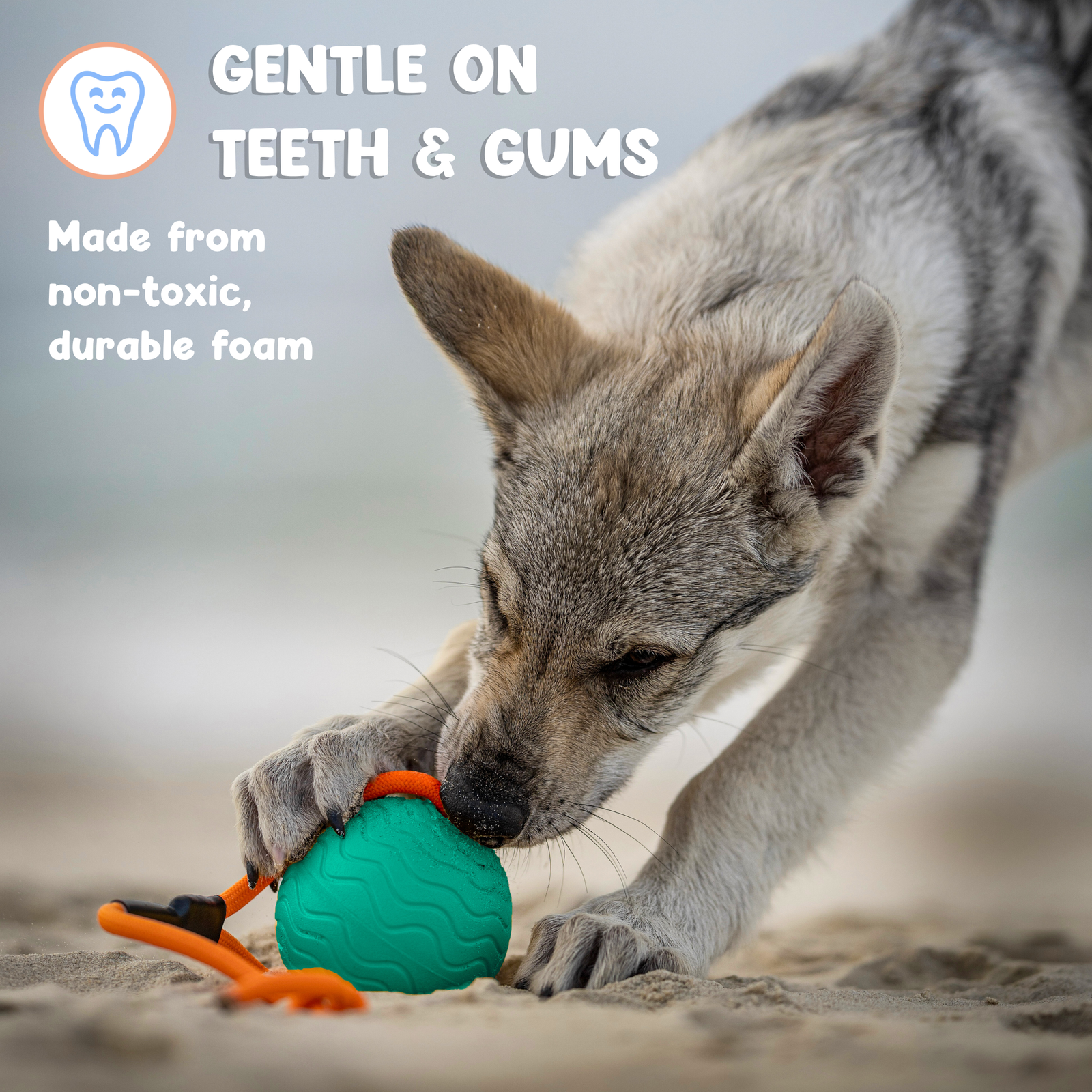 Toss n’ Train Tug Ball