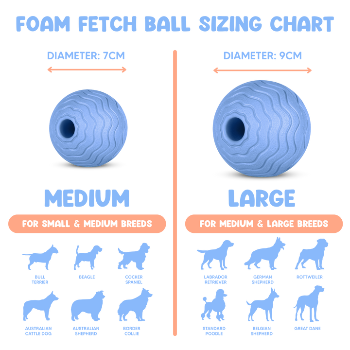 Foam Fetch Ball (2 Pack)