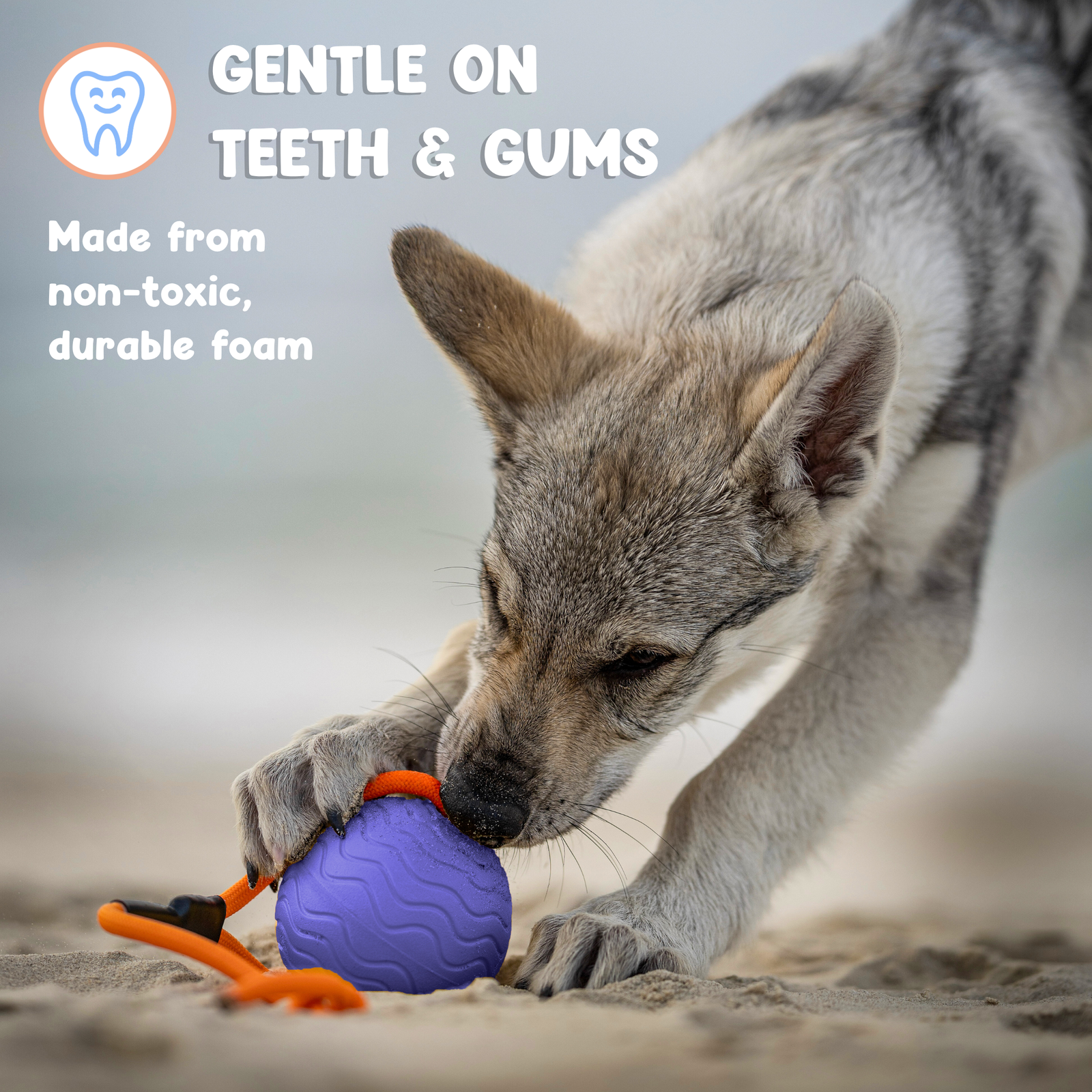 Toss n’ Train Tug Ball