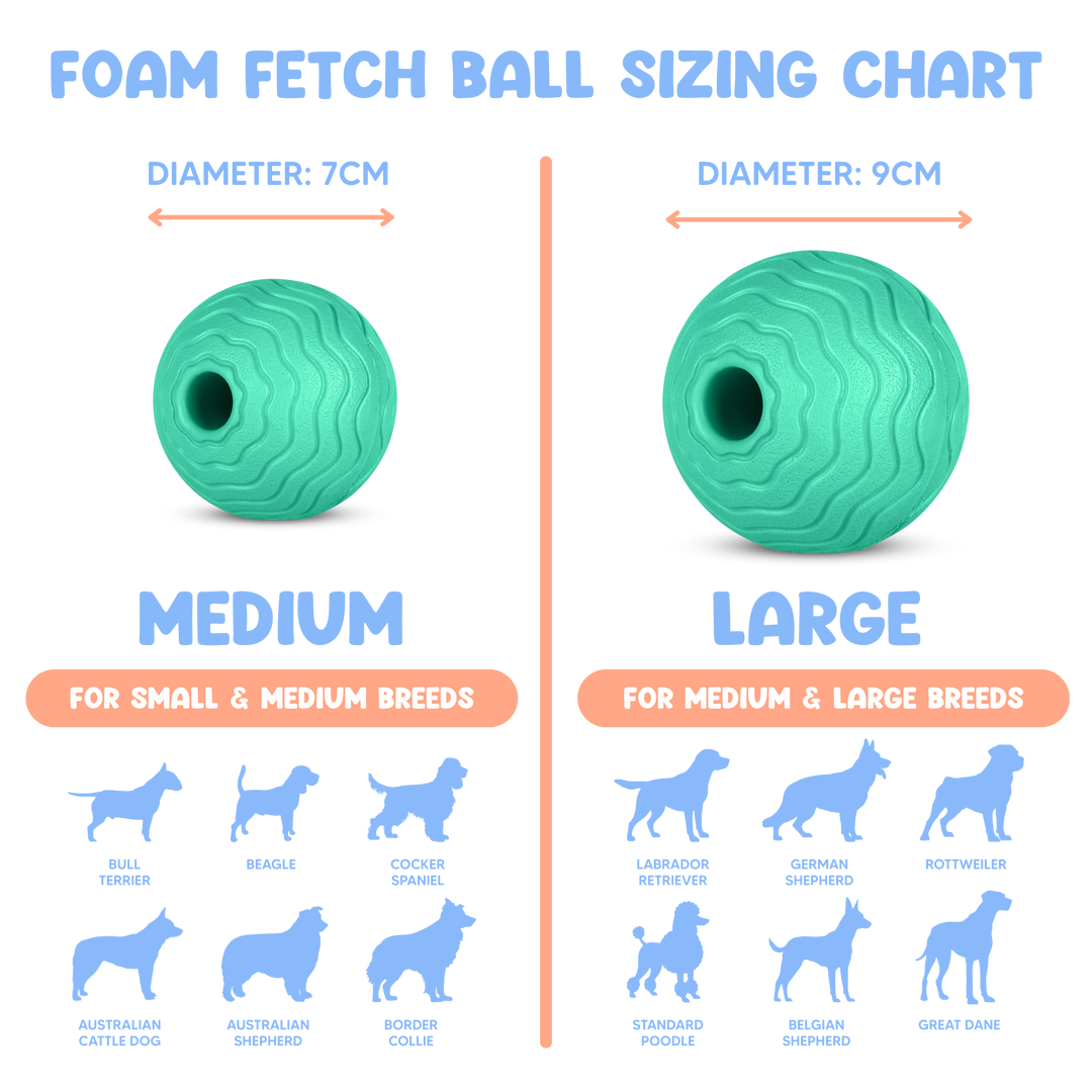 Foam Fetch Ball (2 Pack)