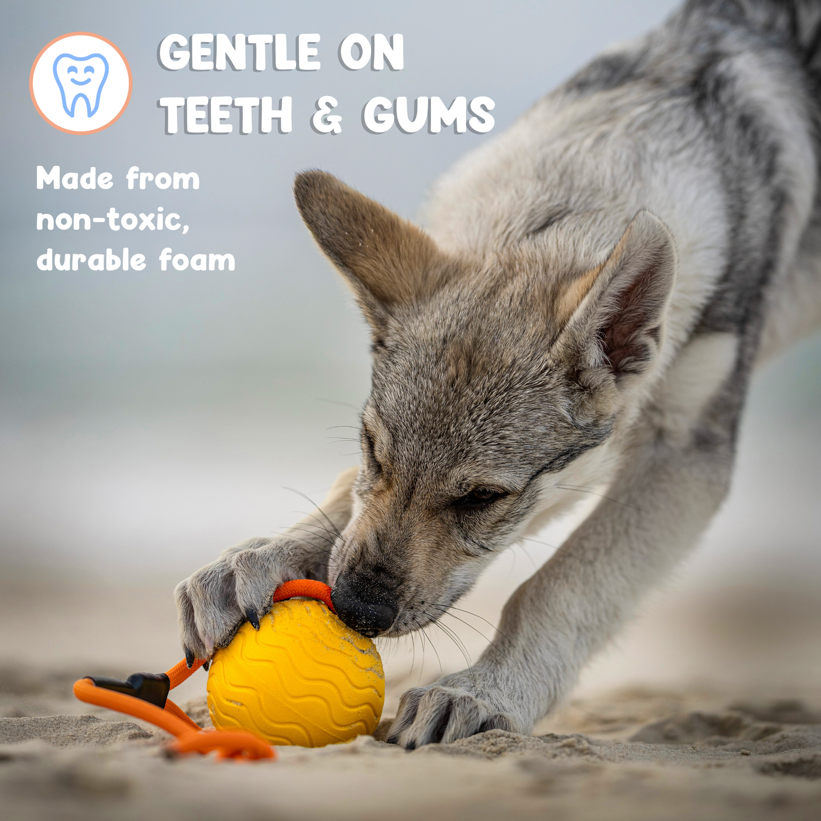 Toss n’ Train Tug Ball