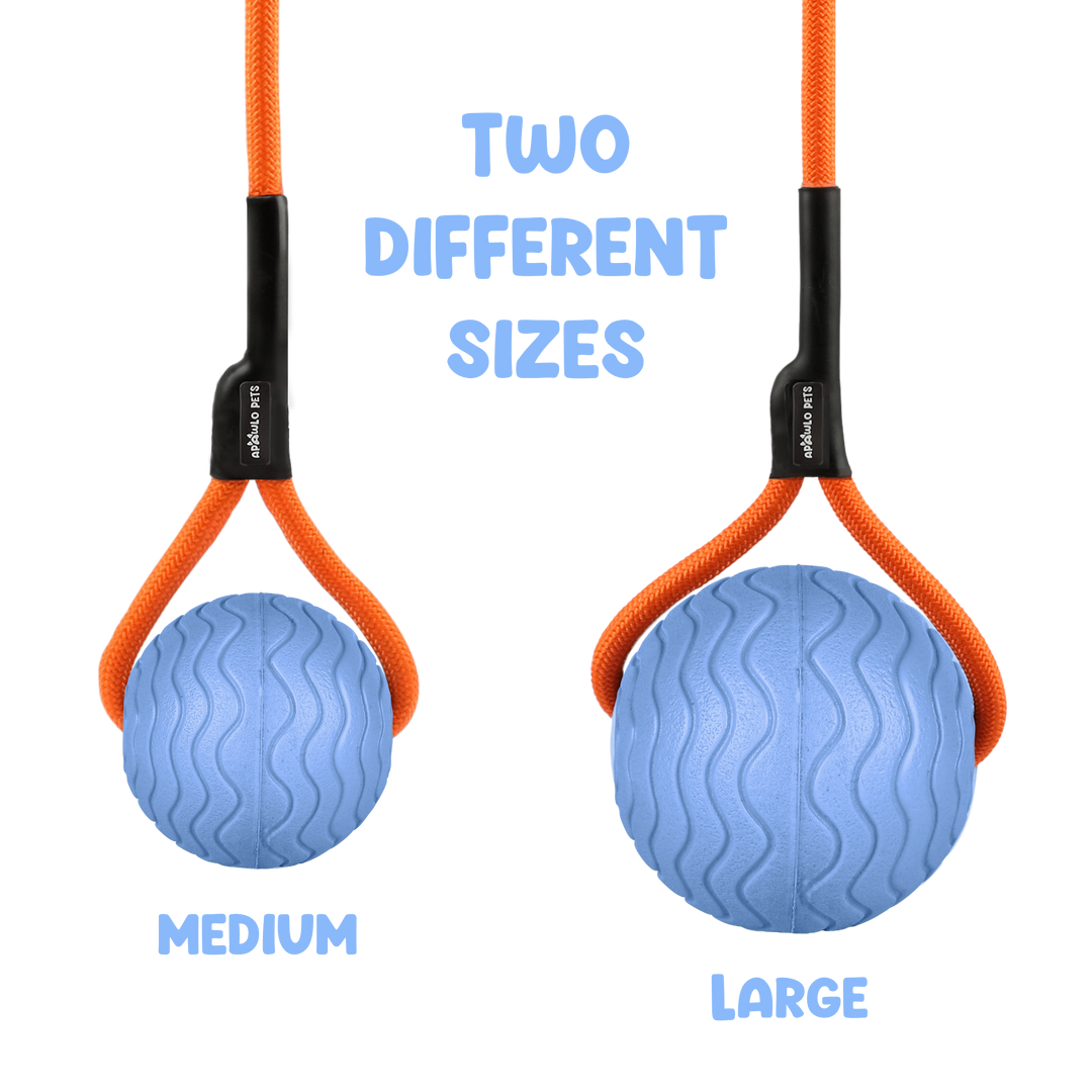 Toss n’ Train Tug Ball