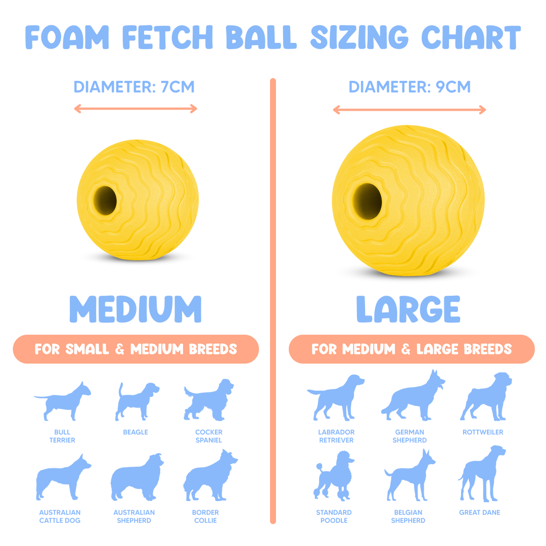 Foam Fetch Ball (2 Pack)