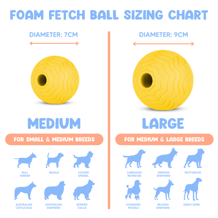 Foam Fetch Ball (2 Pack)