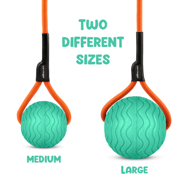 Toss n’ Train Tug Ball