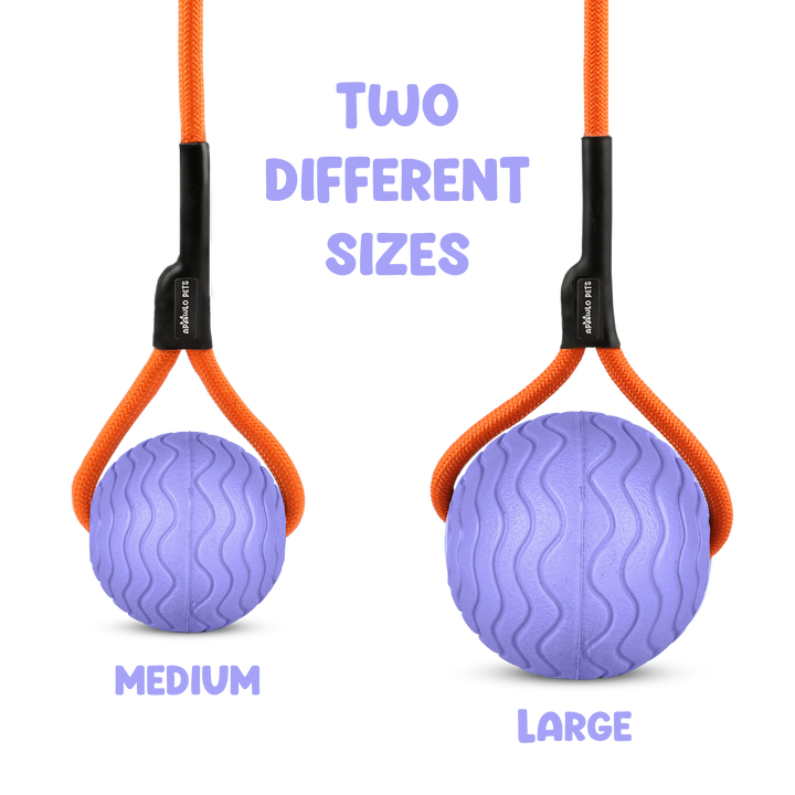 Toss n’ Train Tug Ball