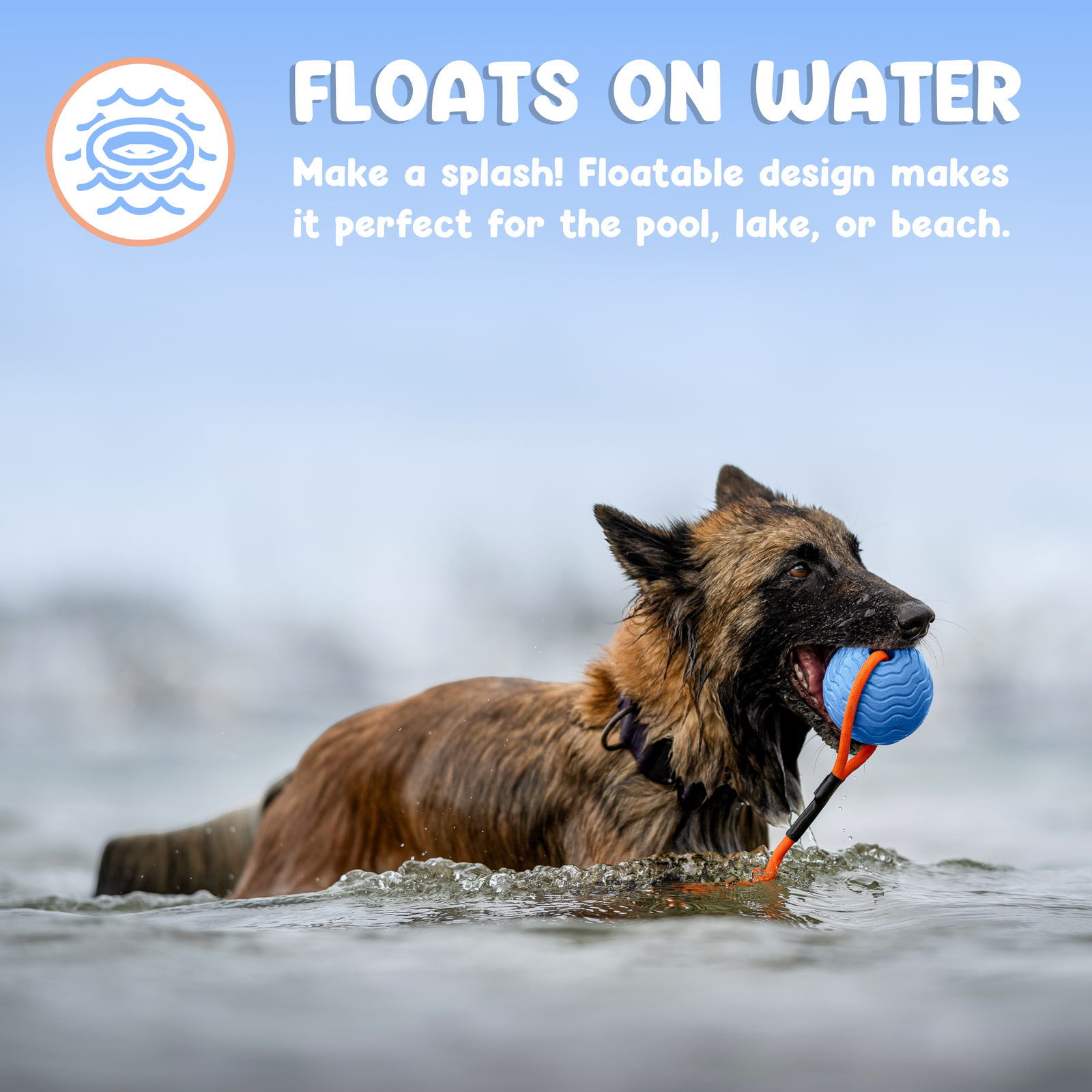 Toss n’ Train Tug Ball