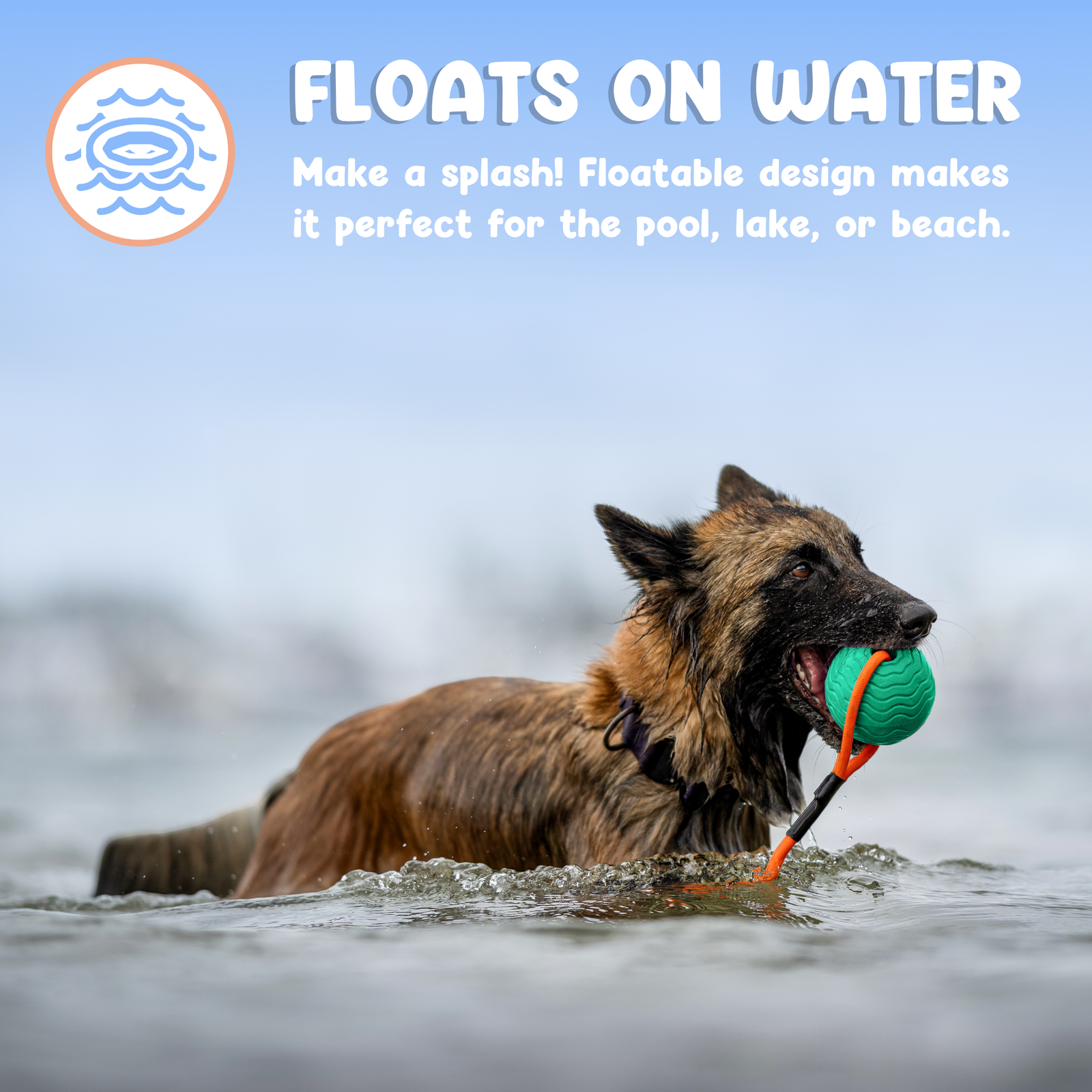 Toss n’ Train Tug Ball