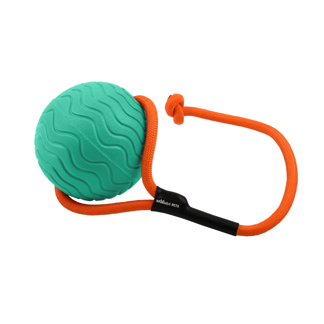 Toss n’ Train Tug Ball